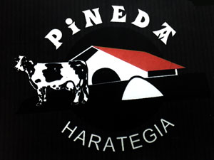 PINEDA HARATEGIA
